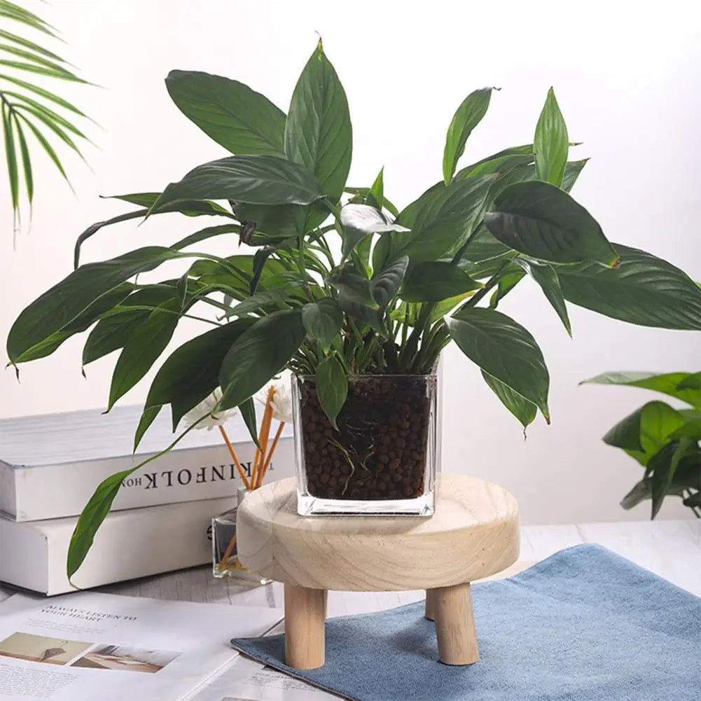 Sd43e12485bc34537ac648b917ae30104Z